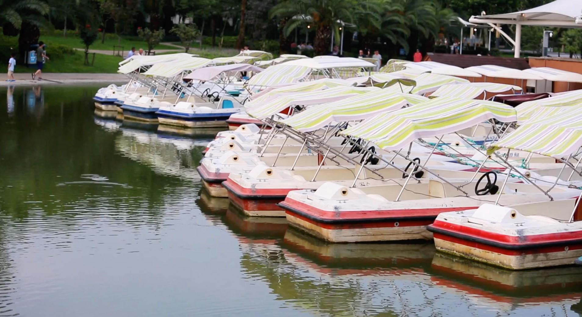 公园岸边停泊的游船和游客划船视频的预览图