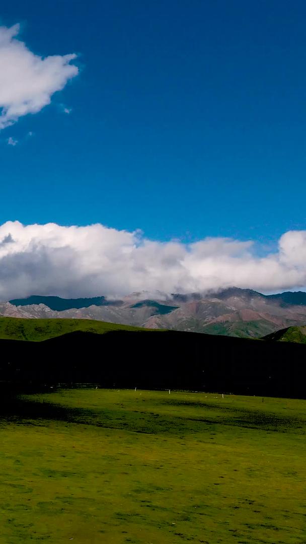 航拍清晨蓝天白云下的青海草原风光和蒙古包营地视频的预览图