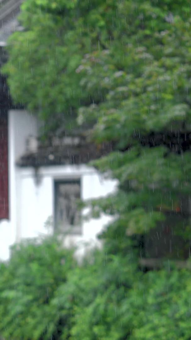 江南南部雨天建筑视频的预览图