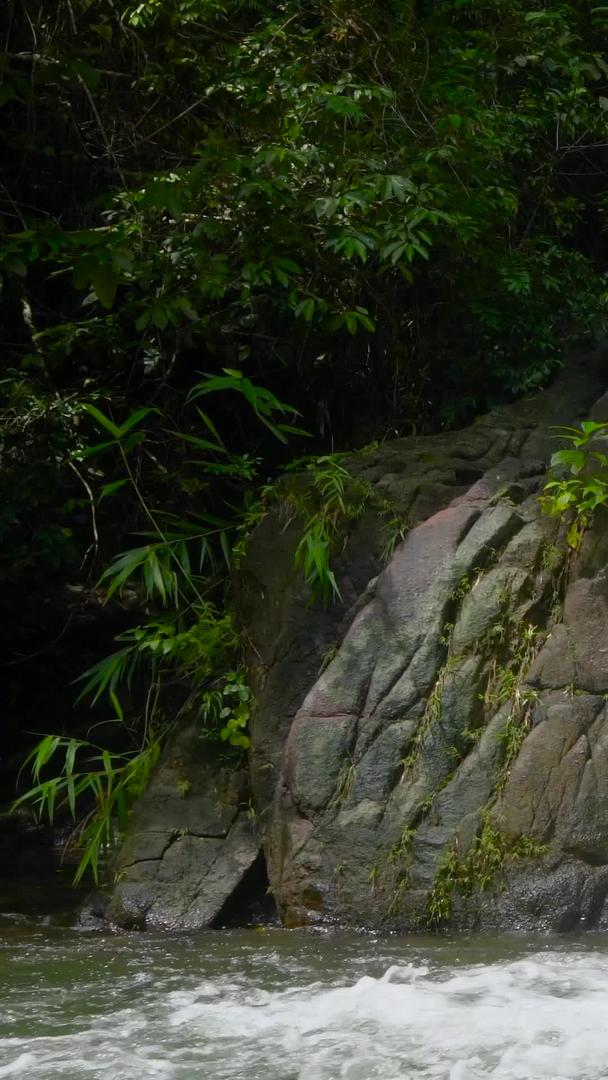 山林瀑布自然收集含声音的声音视频的预览图
