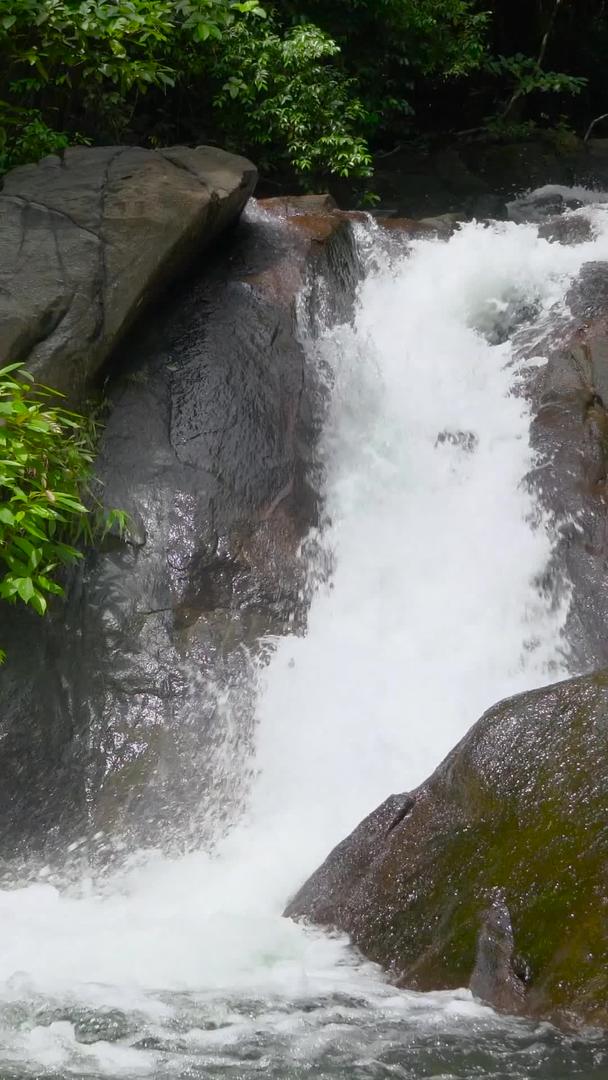 山林瀑布自然收集含声音的声音视频的预览图