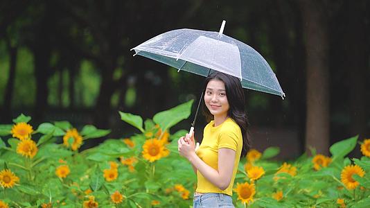 4k向日花田里打雨伞的女生视频的预览图
