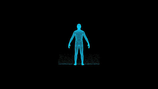 三维人体扫描视频的预览图