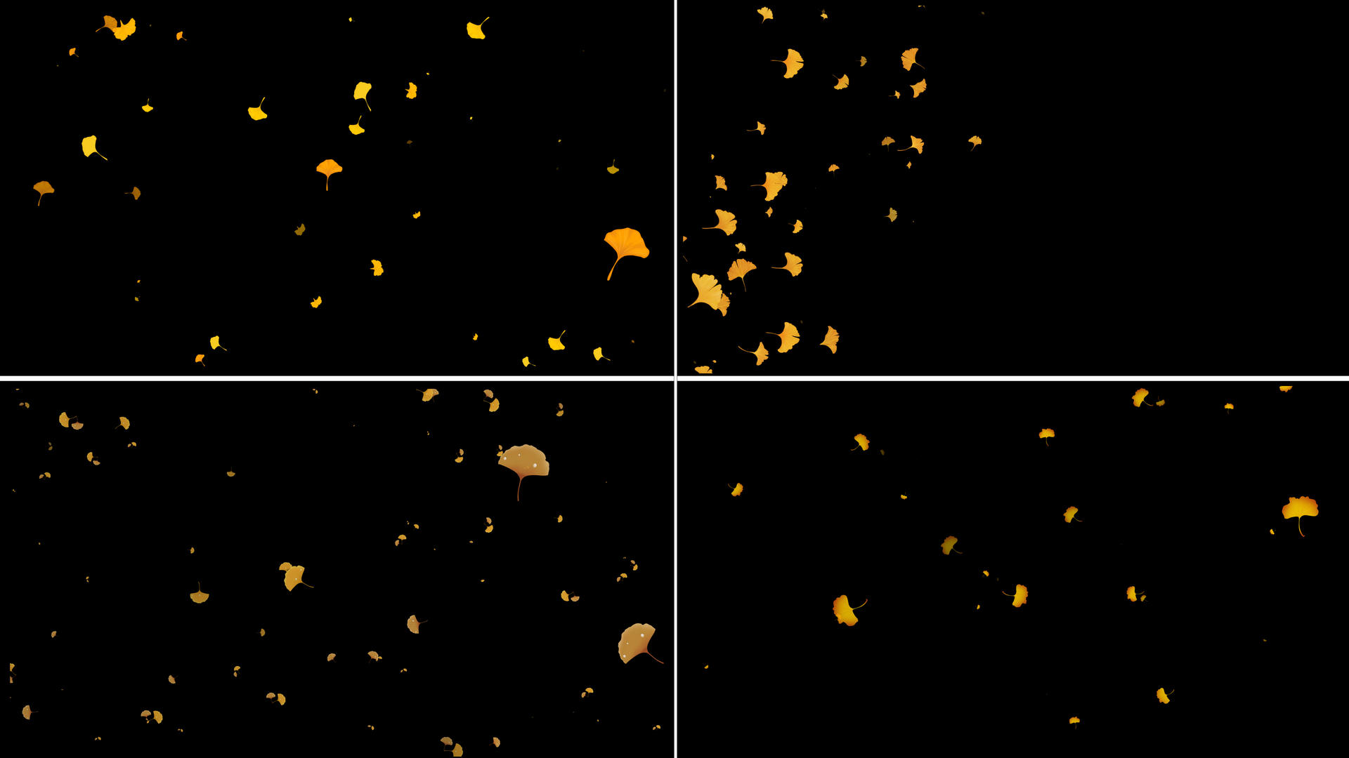 一组银杏叶粒子动画视频的预览图