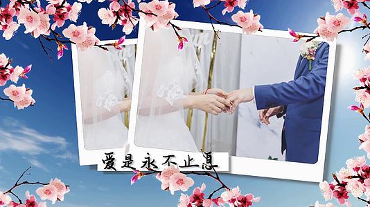 浪漫婚礼相册展示唯美花朵视频的预览图
