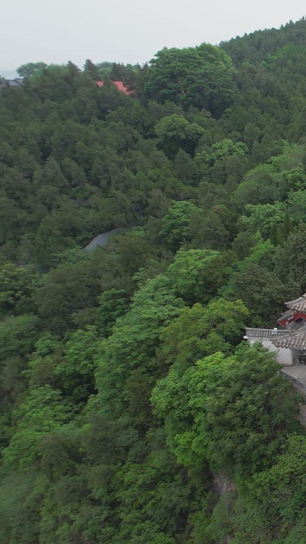 5A景区龙门石窟景区香山寺航拍视频视频的预览图