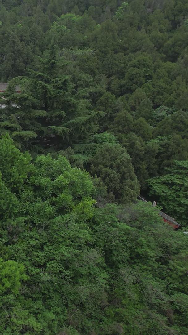 5A景区龙门石窟景区香山寺航拍视频视频的预览图