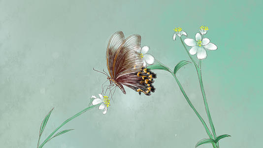蝴蝶花丛飞舞清新背景视频的预览图