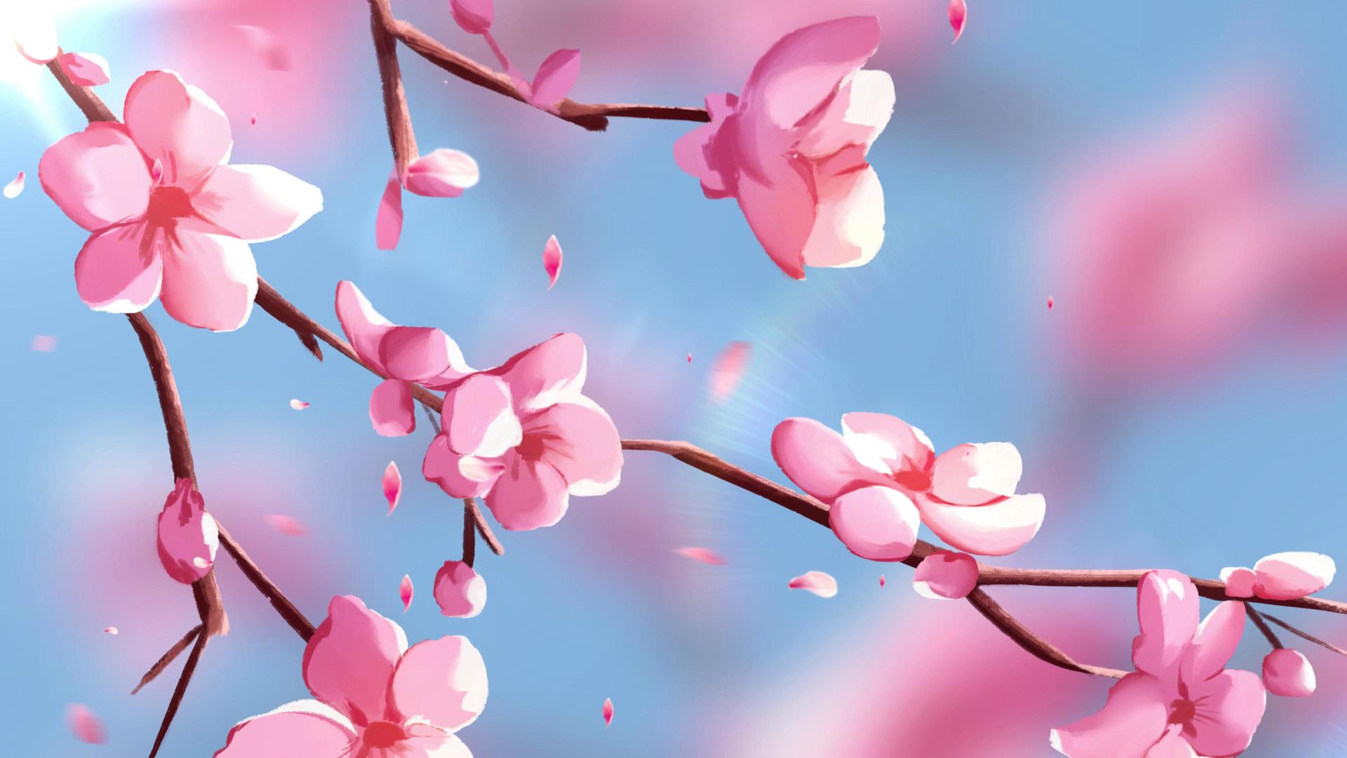 樱花花瓣飞舞视频的预览图