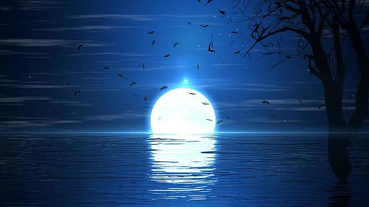 夜景湖面月亮升起4K背景视频视频的预览图