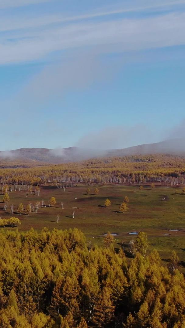 阿尔山原始森林小镇被晨雾包围视频的预览图