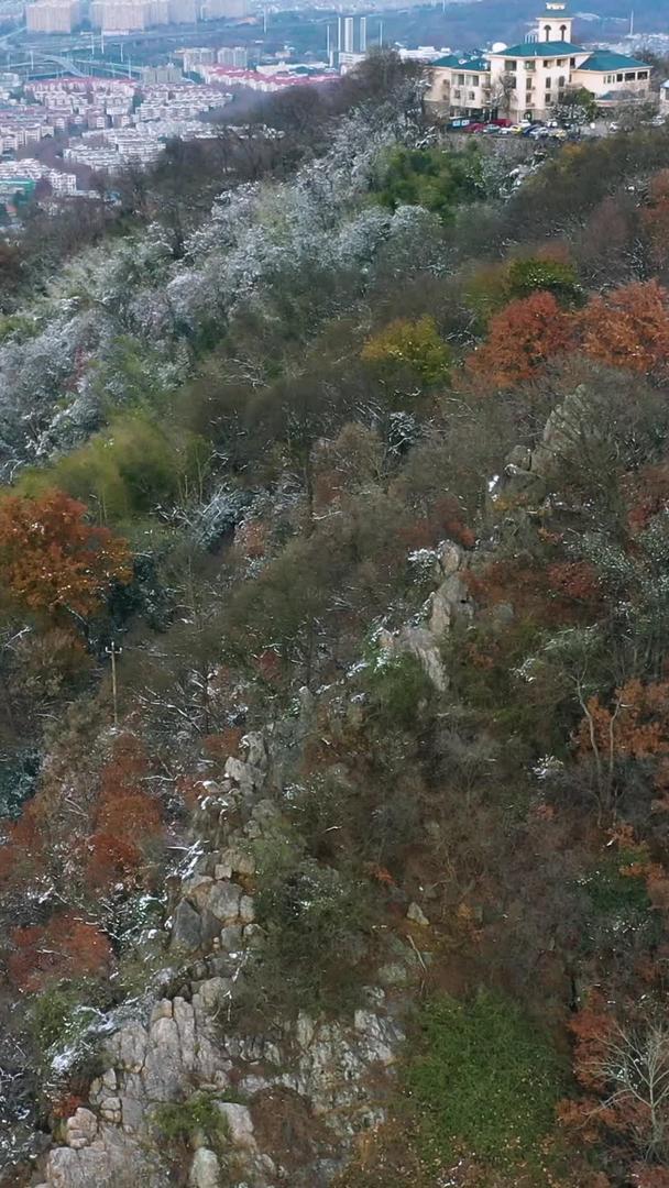 航拍南京国家5A风景区钟山风景区雪景树木视频的预览图