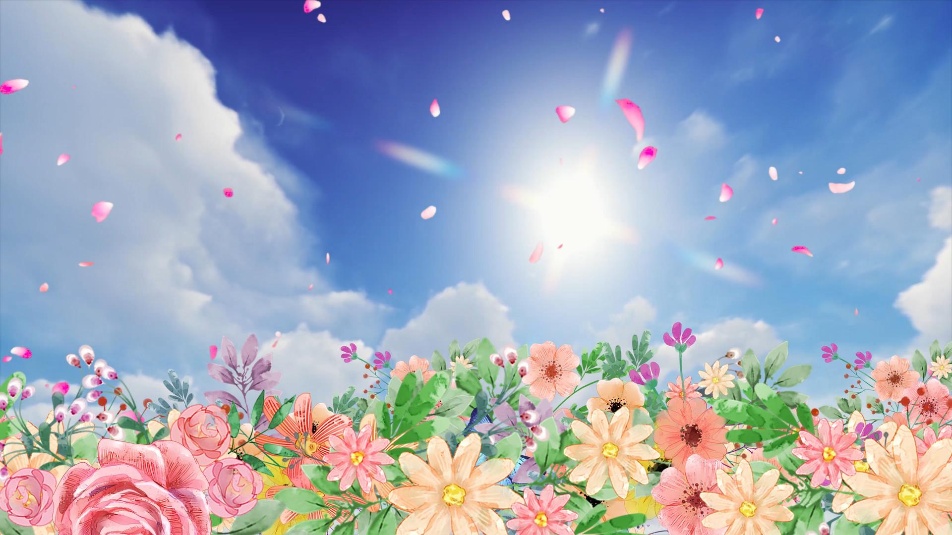 花朵草丛天空视频背景视频的预览图
