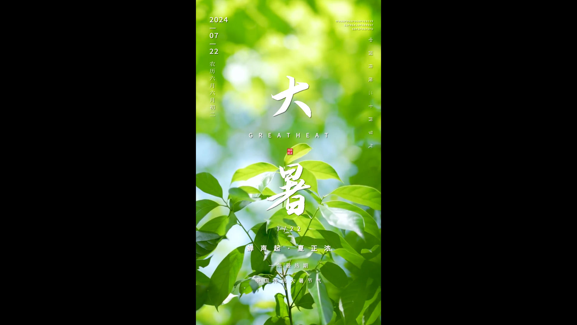 简约大气二十四节气大暑竖版海报视频的预览图
