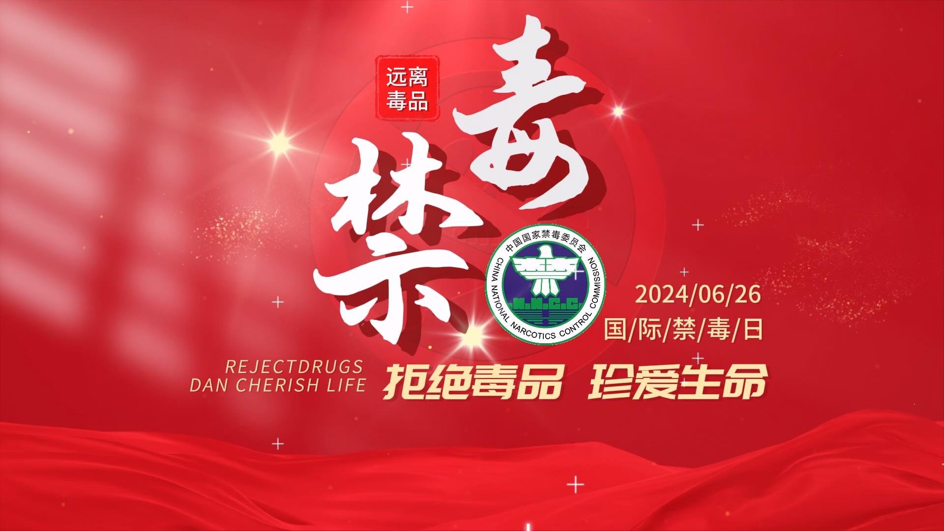 简洁大气国际禁毒日字幕片头剪影模板视频的预览图