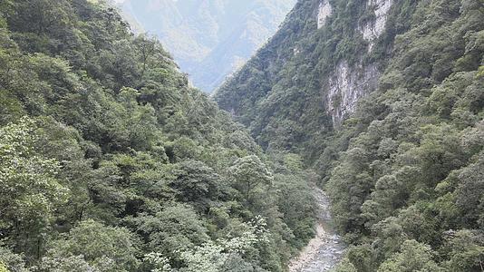 国家5A级旅游景区重庆黑山谷视频的预览图