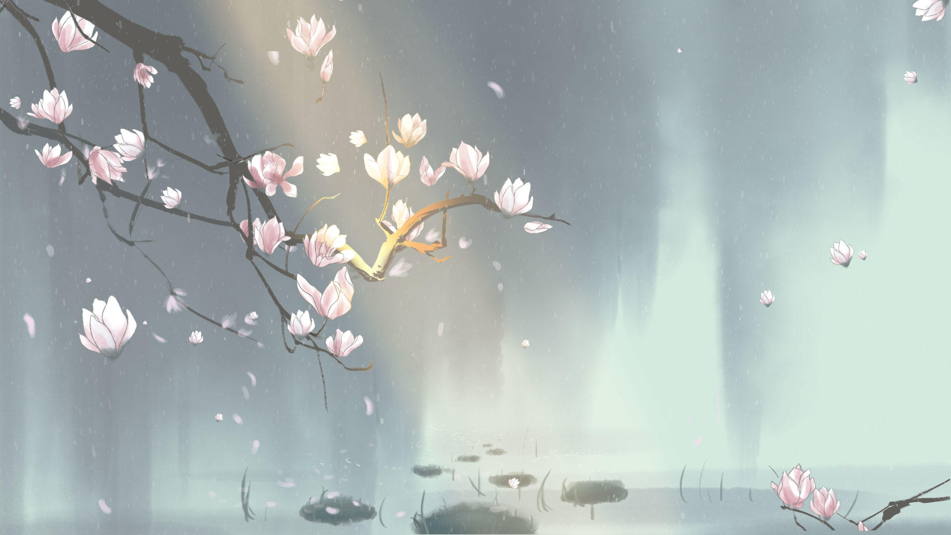 中国风手绘玉兰花背景视频的预览图