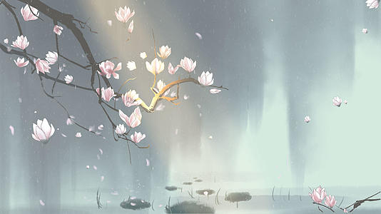 中国风手绘玉兰花背景视频的预览图