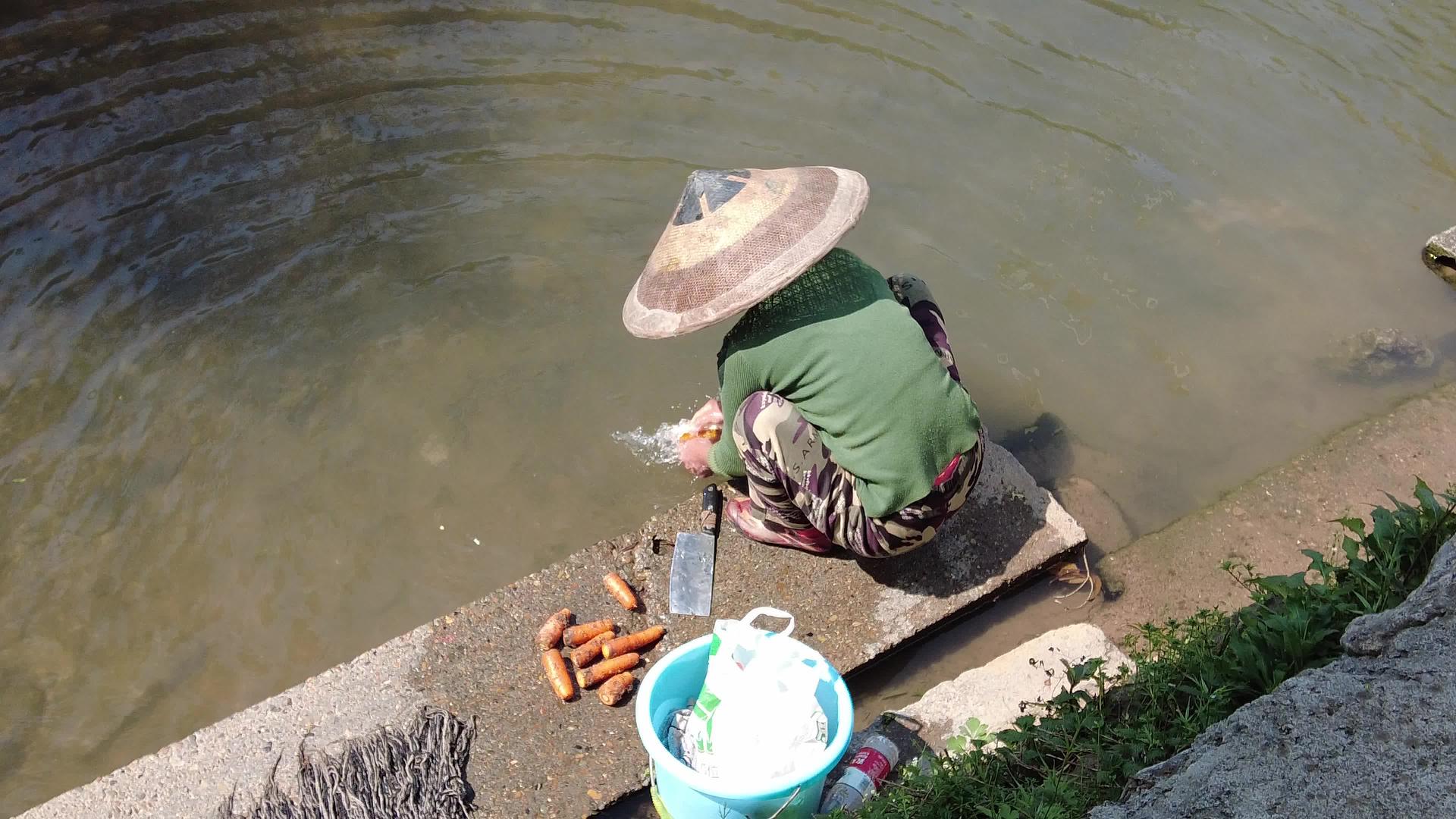 乡村妇女河边洗菜实拍视频的预览图