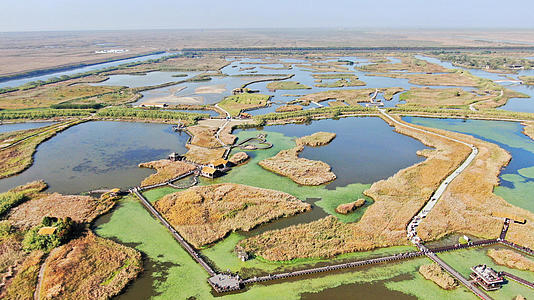 杭州湾国家湿地公园航拍视频的预览图