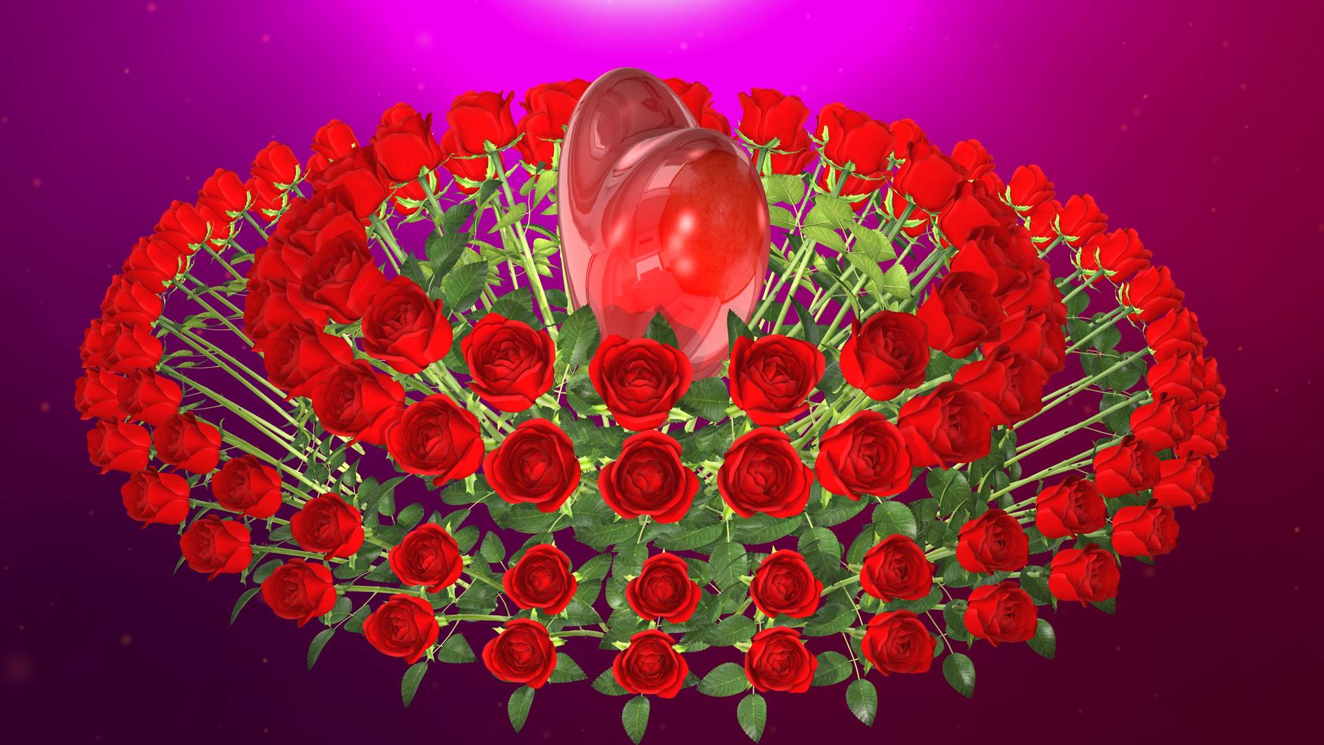 情人节爱心环绕玫瑰视频的预览图