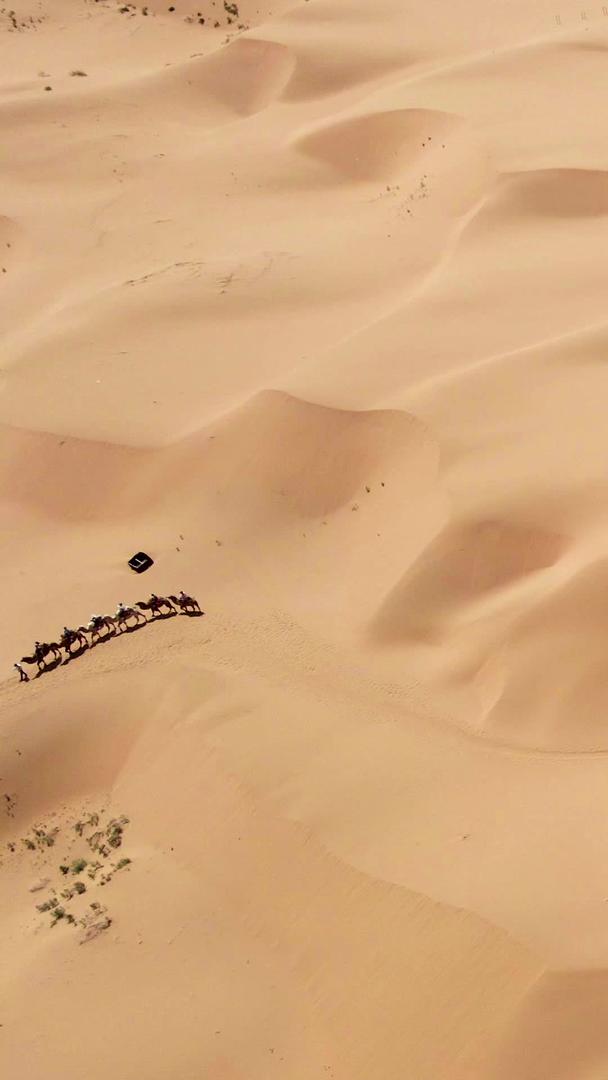 宁夏中卫腾格里沙漠视频的预览图