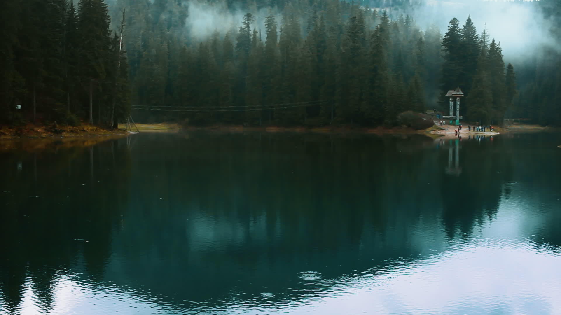 蓝湖在野雾林中视频的预览图