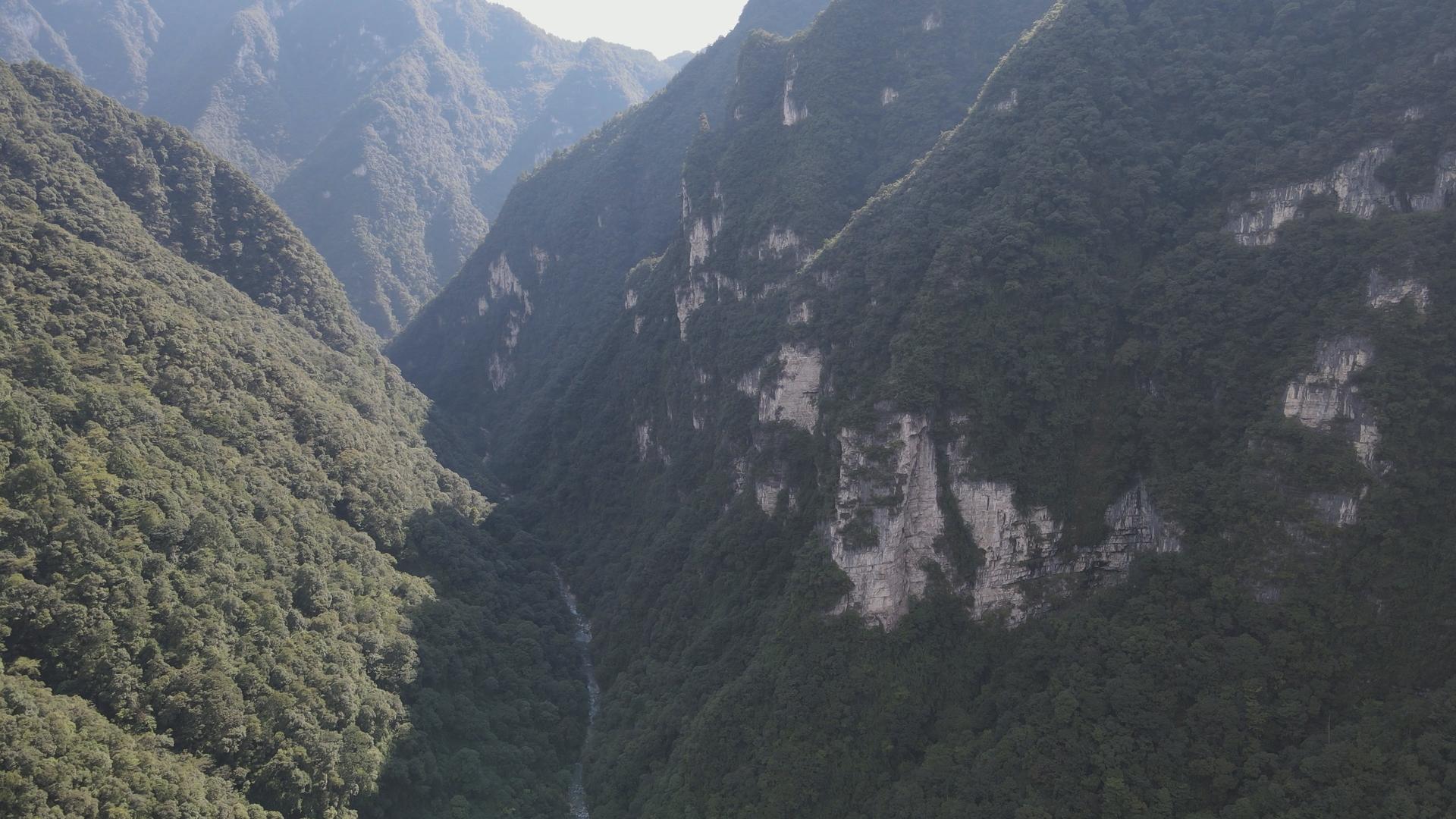 国家5A级旅游景区重庆黑山谷九曲画屏视频的预览图