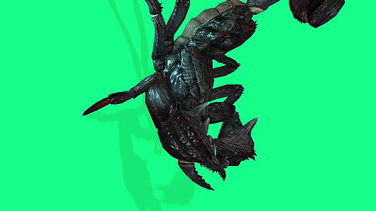 垂直视频4k绿屏上的动画以攻击性的姿态在森林蝎子上视频的预览图