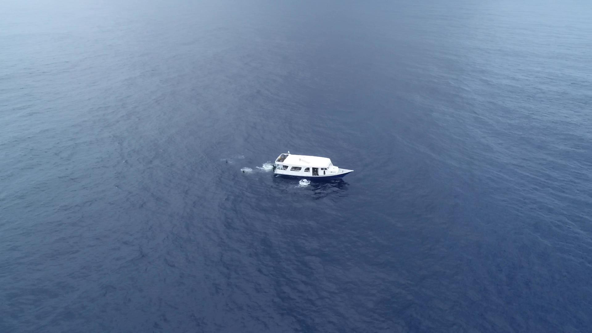 马尔代夫出海潜水视频的预览图
