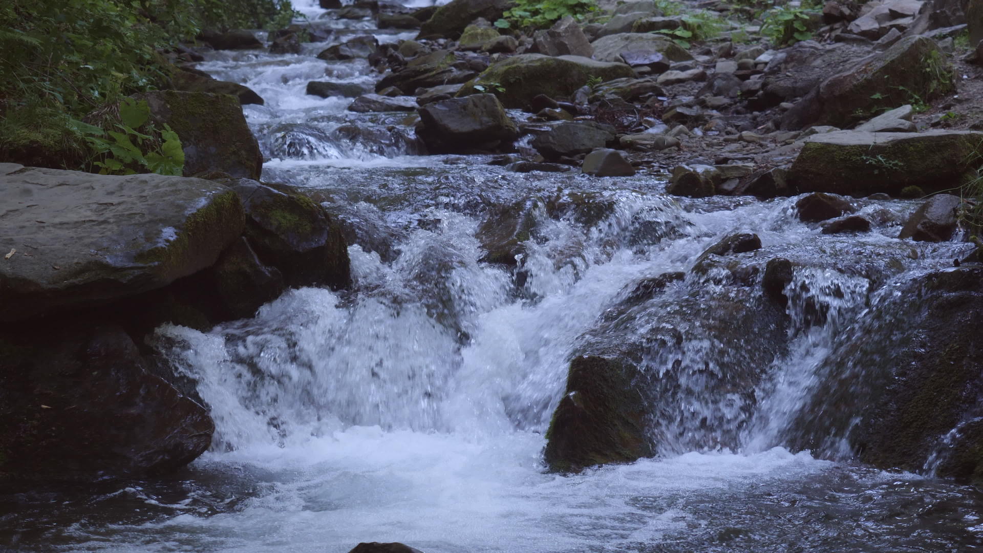 从山河到池塘的水视频的预览图
