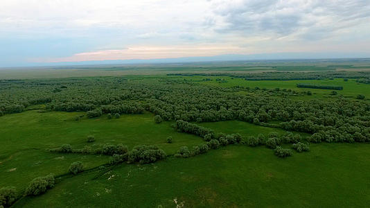 新疆航拍原始森林草原视频的预览图