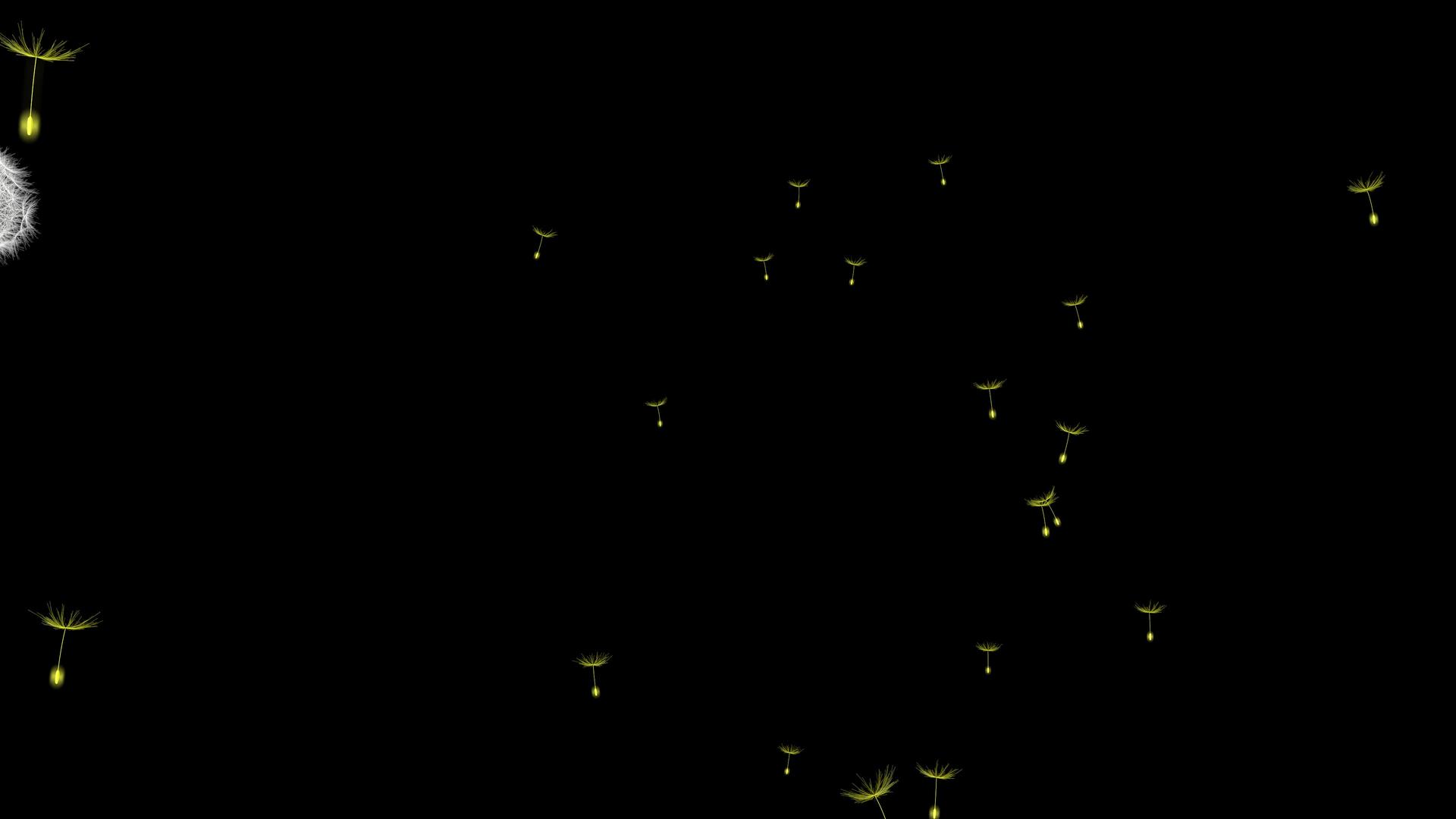 近距离观察空气中发光的黄色花朵视频的预览图