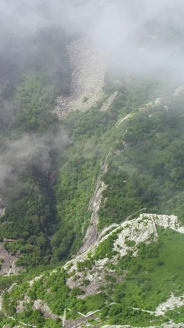 凤凰山森林公园高清航拍穿云云视频的预览图