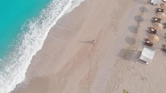 一个和狗一起走在热带海滩上的女人视频的预览图