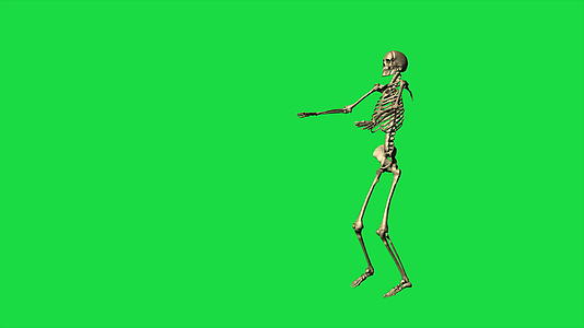 绿幕空手道骨骼运动视频的预览图