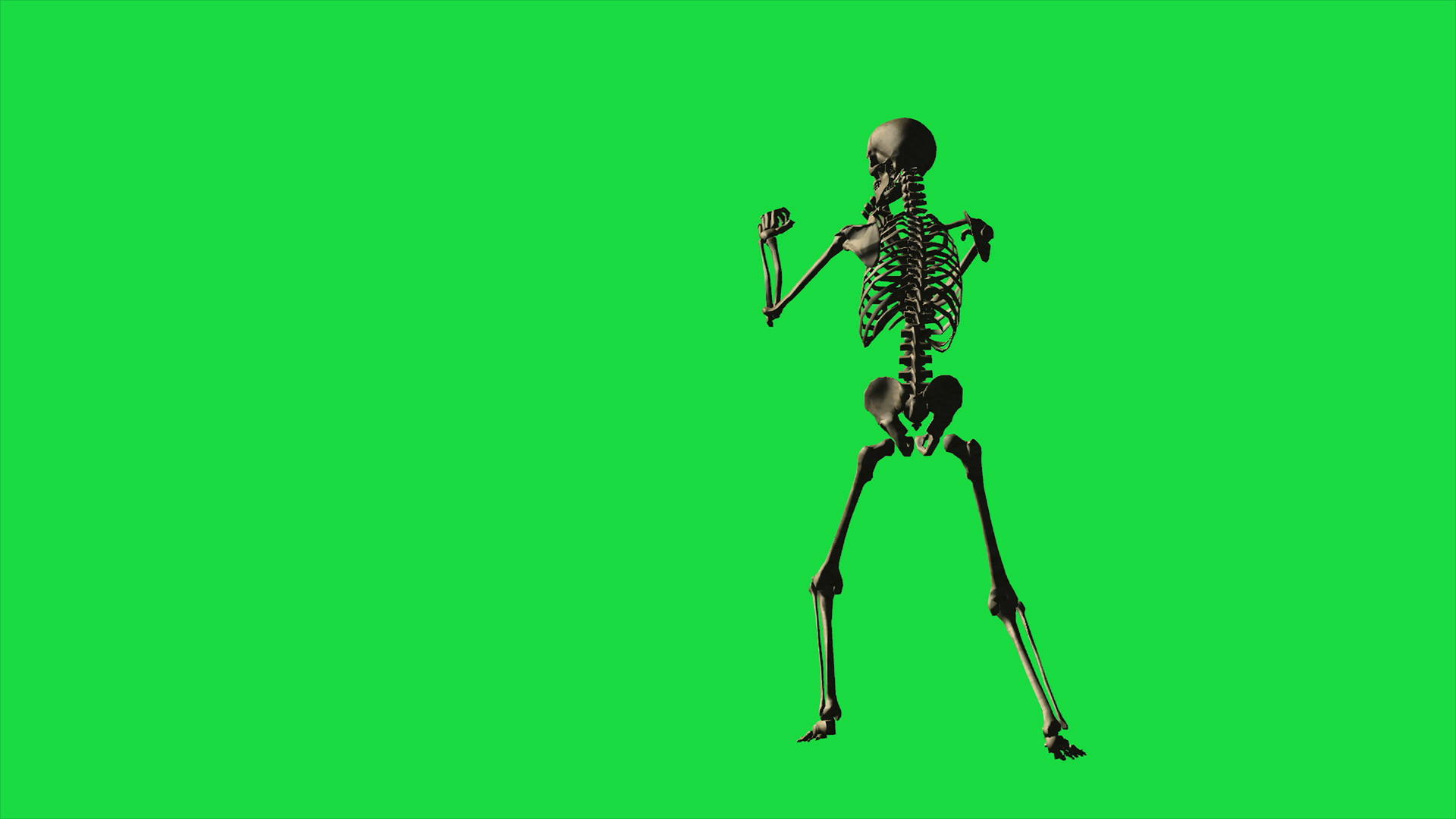 绿幕上的骷髅视频的预览图