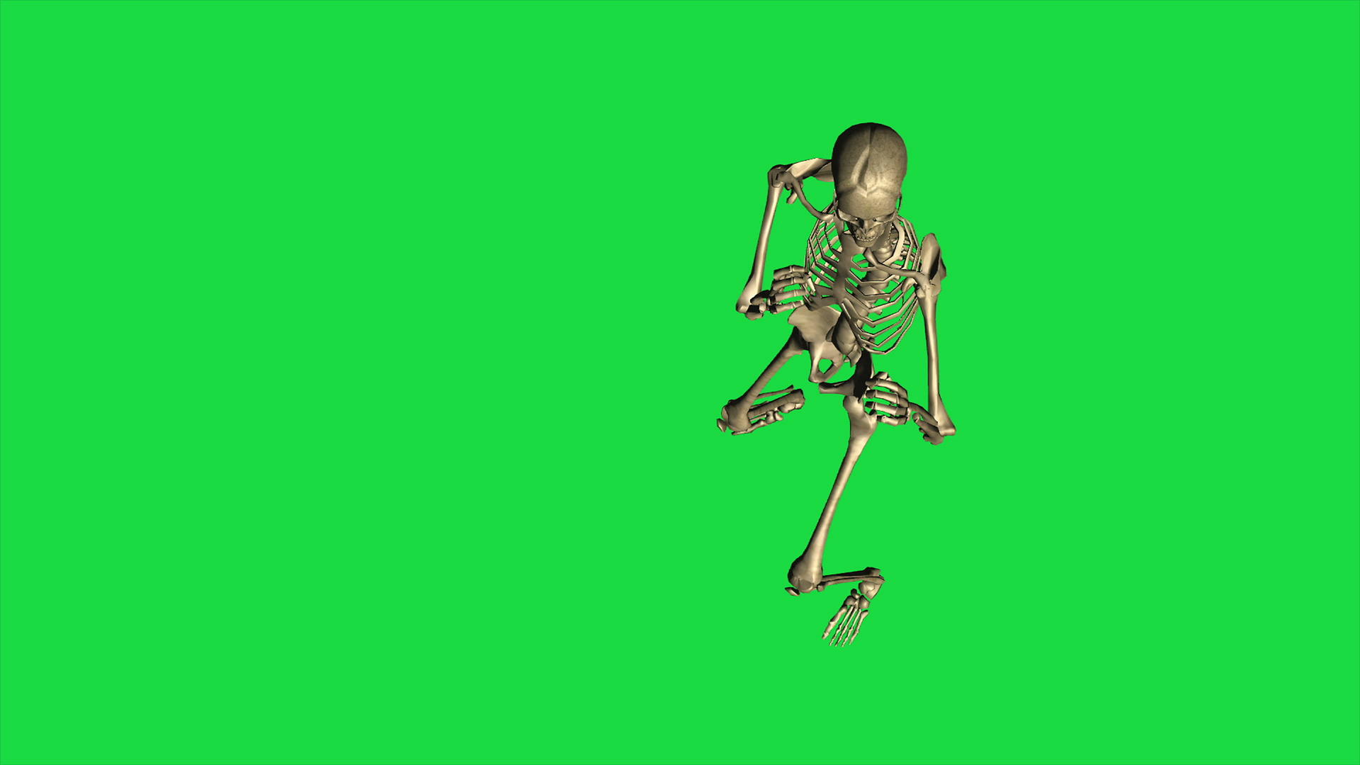 绿幕上的骷髅视频的预览图