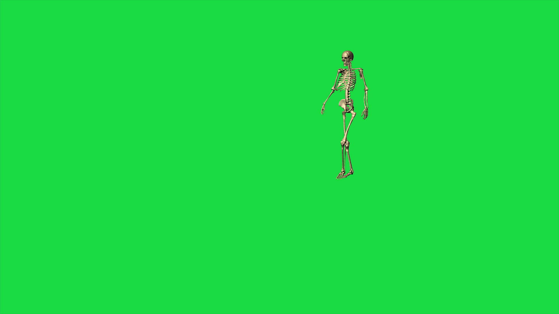 4k骨骼行走动画视频的预览图