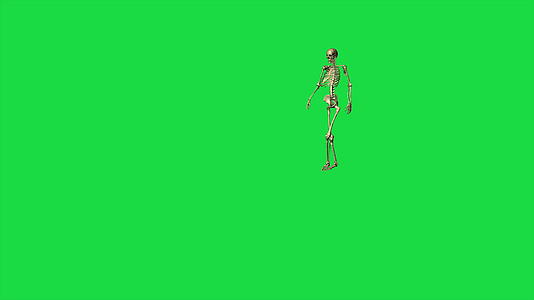 4k骨骼行走动画视频的预览图