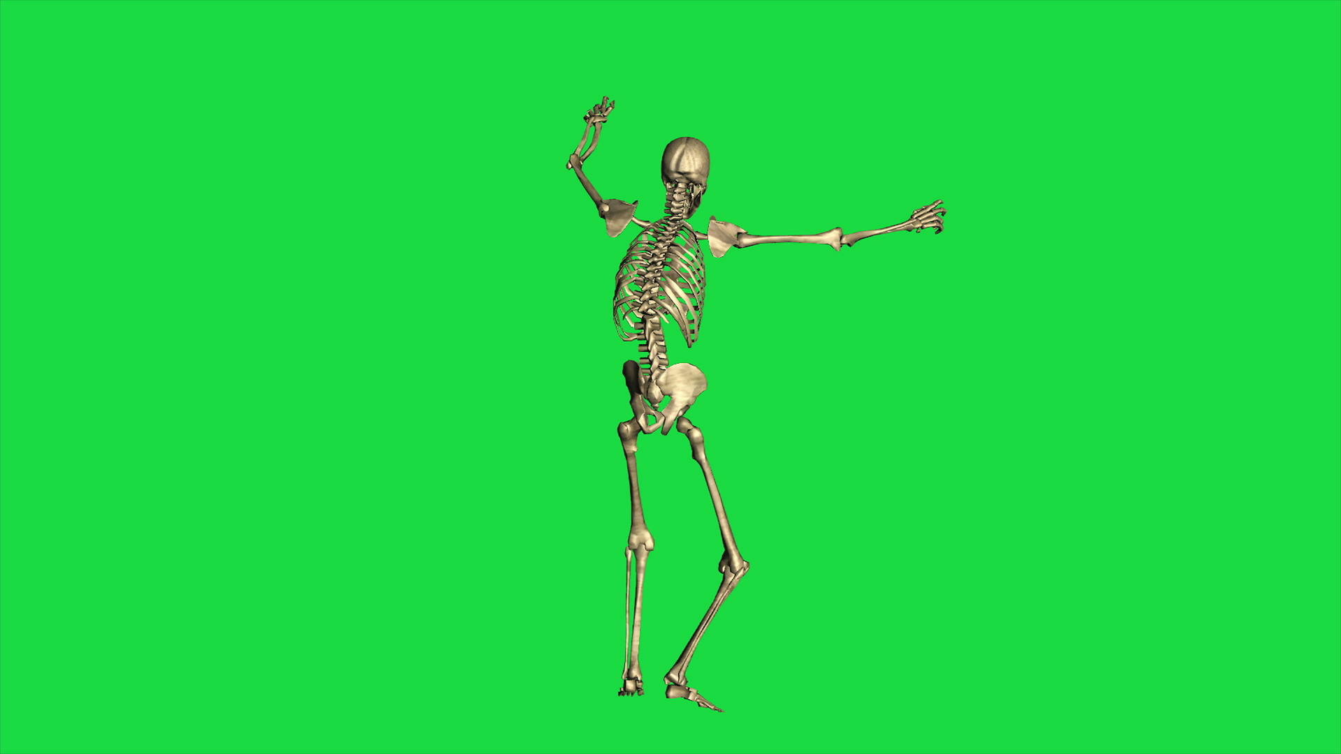 绿幕骨骼视频的预览图