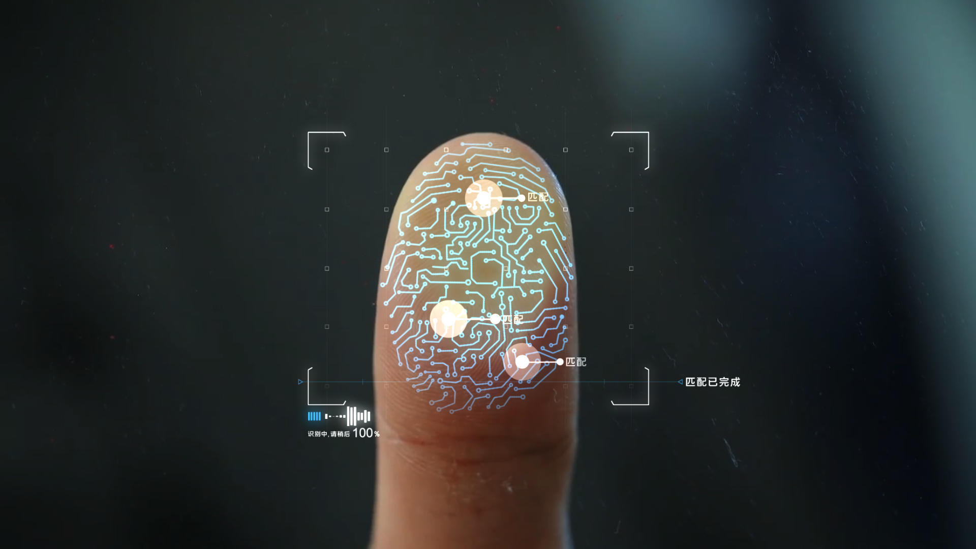 科技指纹识别ae模板视频的预览图