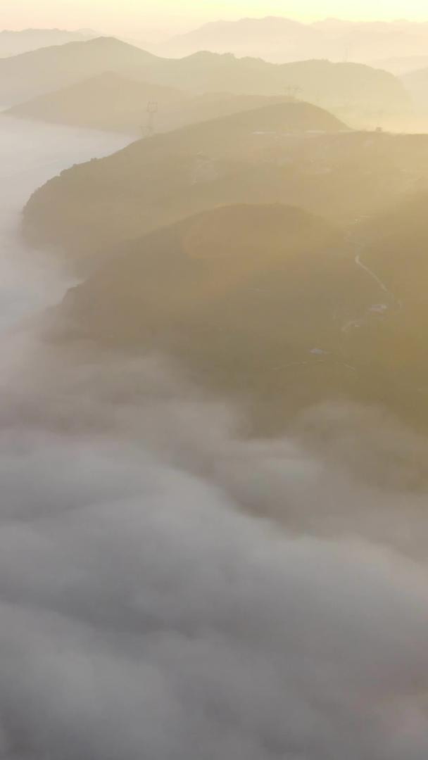 航拍大自然清晨山谷云雾视频的预览图