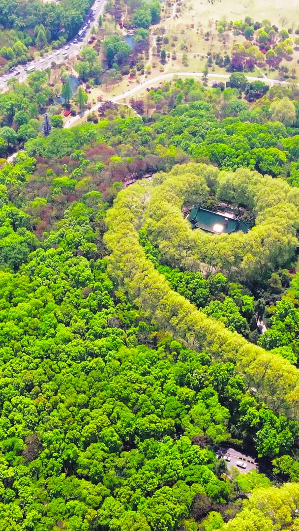 航拍南京中山陵景区美龄宫旅游视频的预览图
