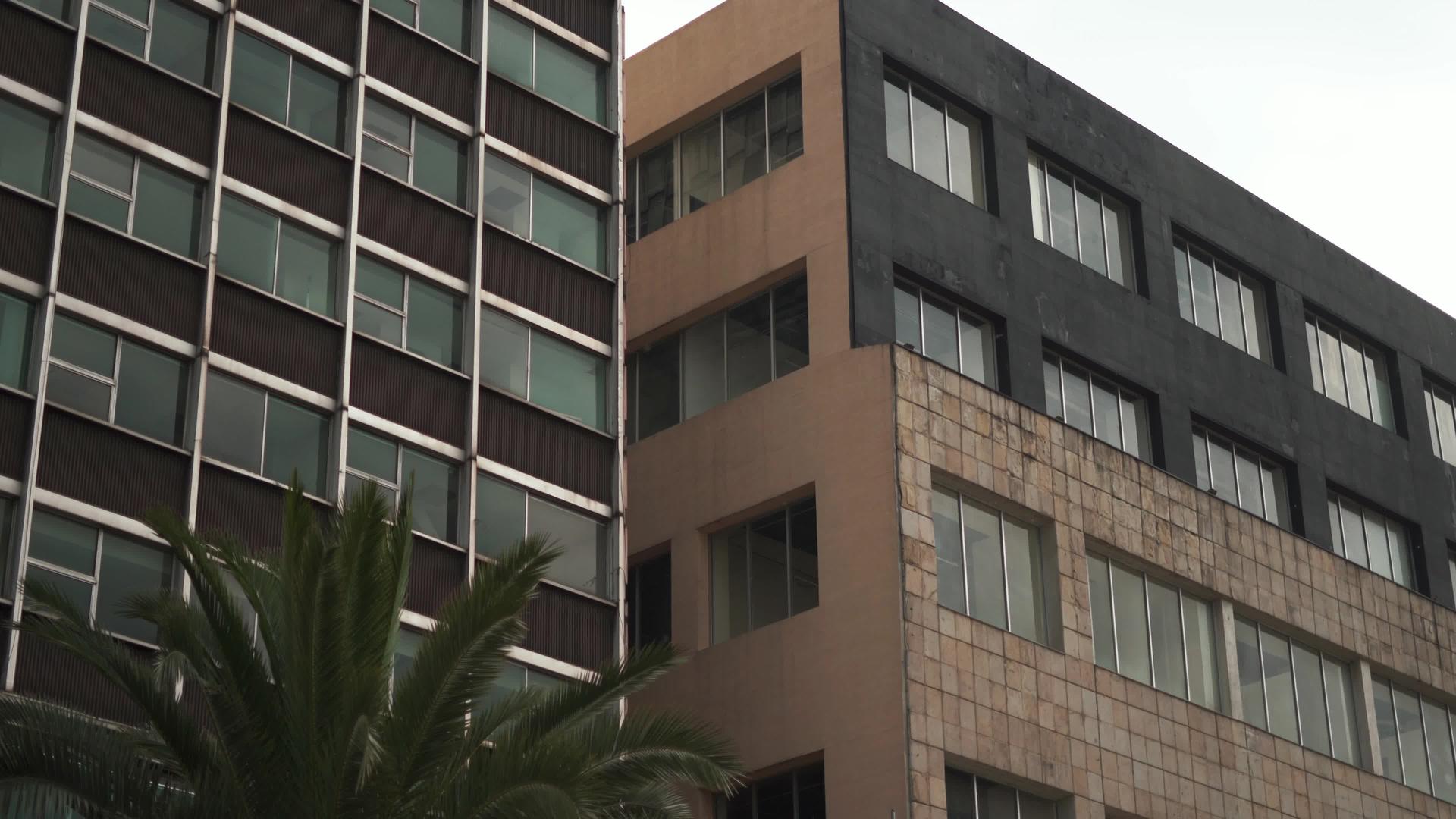 办公楼下面有两座棕榈树视频的预览图