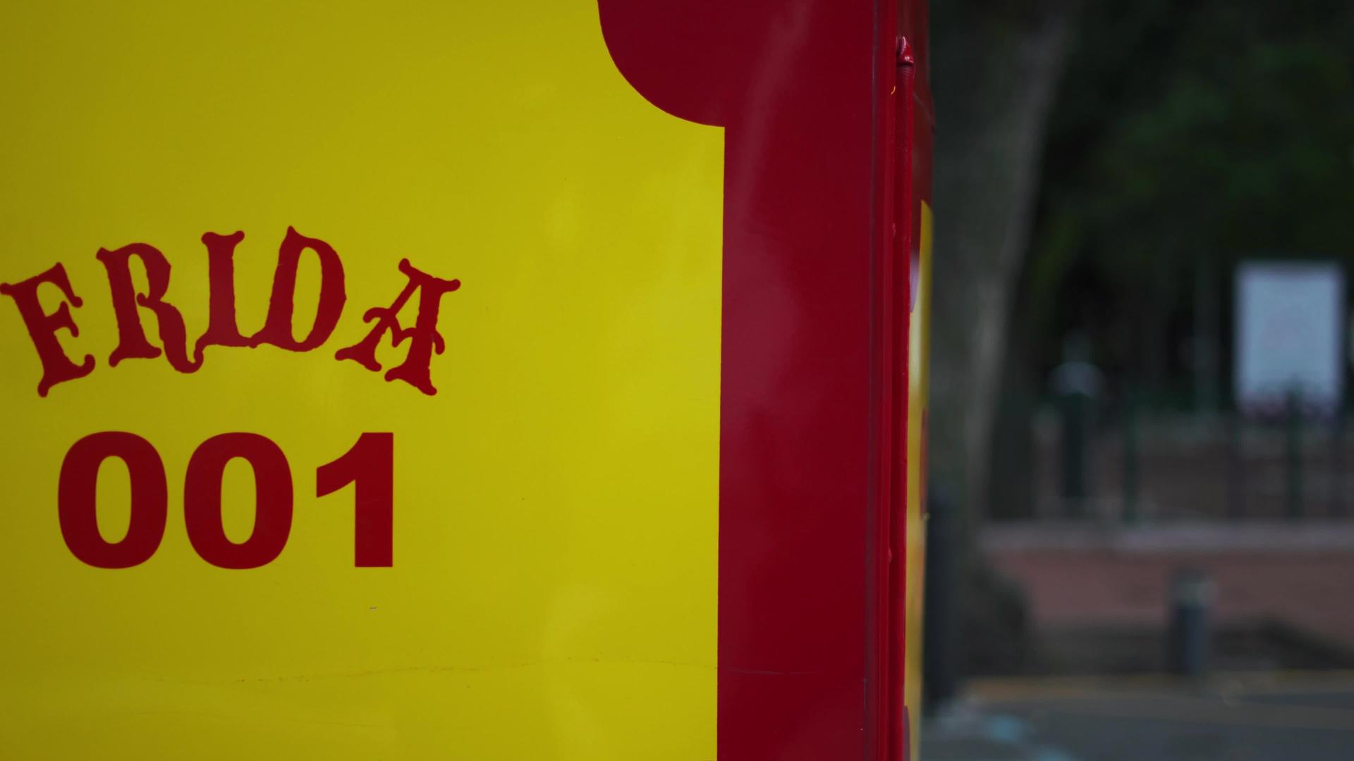 红色和黄色电车的名称和号码视频的预览图