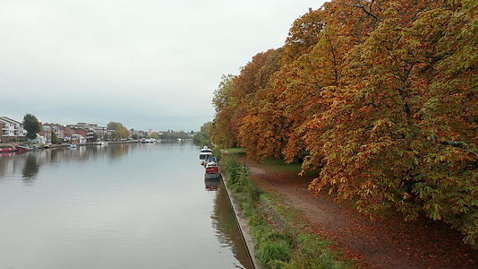 秋叶树的空中景观沿着云层的下一条河流视频的预览图