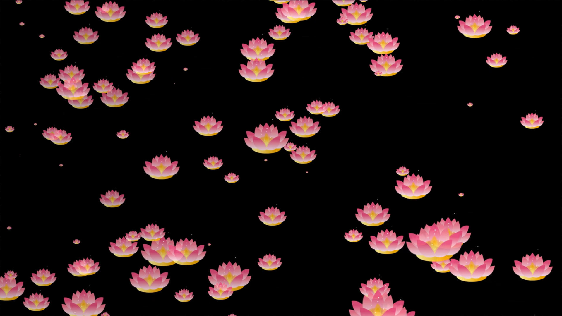 莲花灯飘飞元素带透明度视频的预览图