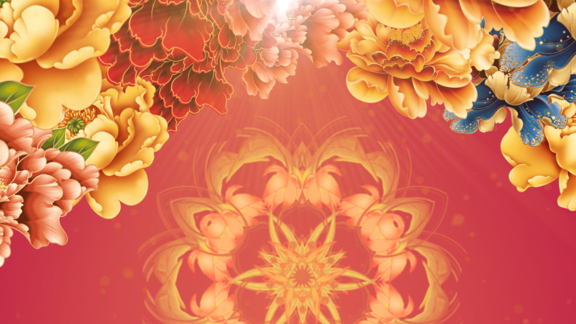 牡丹花绚丽背景视频的预览图
