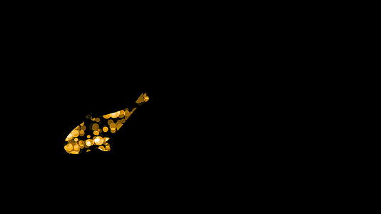 金色粒子锦鲤的黑色背景视频的预览图